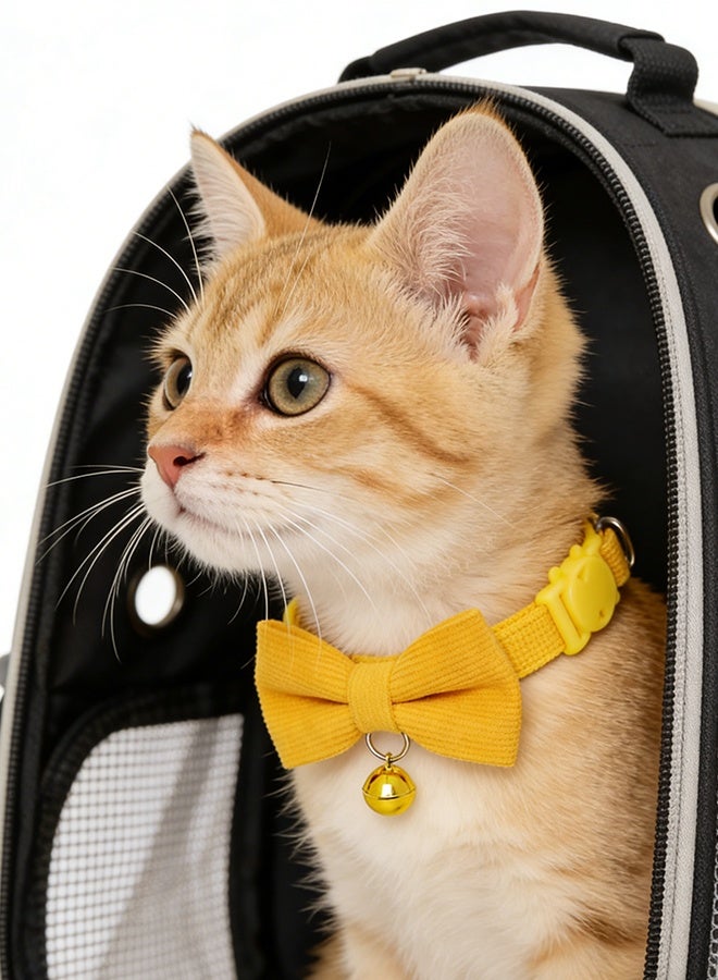 طوق قطط ناعم من قماش الكوردروي مع جرس وربطة عنق، مزود بمشبك أمان قابل للفك، قابل للتعديل للقطط الصغيرة والكبيرة - Image 5